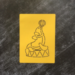 Цирк №3 Морской котик