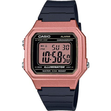 Мужские наручные часы Casio Collection W-217HM-5A