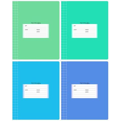 Тетрадь школьная А5 12л крупная клетка "Школьная", эконом. 290517 (BG)