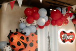 Lady Bug Party