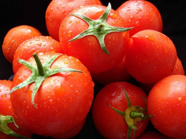 3 основных способа посева томатов