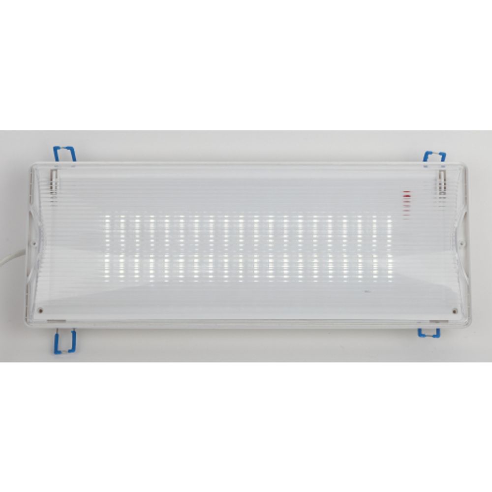 Аварийный светильник светодиодный ЭРА DPA-301-0-65 непостоянный 40LED 3ч IP65 | Светильники аварийные