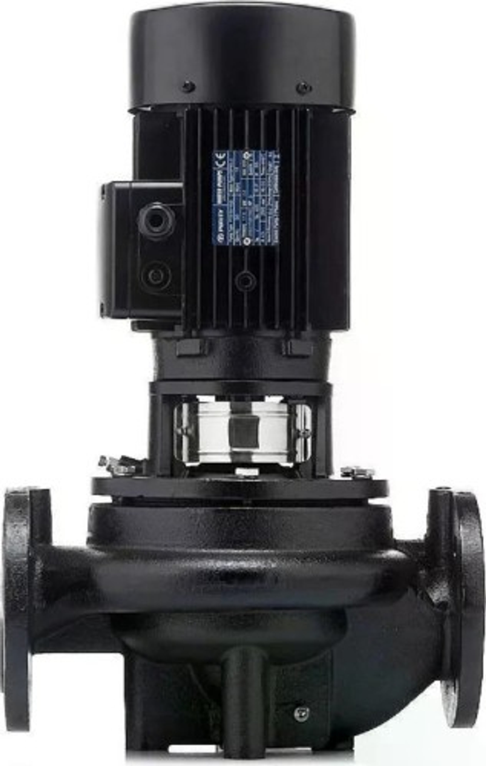 Насос циркуляционный PURITY INLINE PTD32-33G/2 100590546