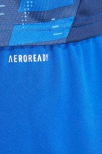 Шорты adidas Tiro 24 Training