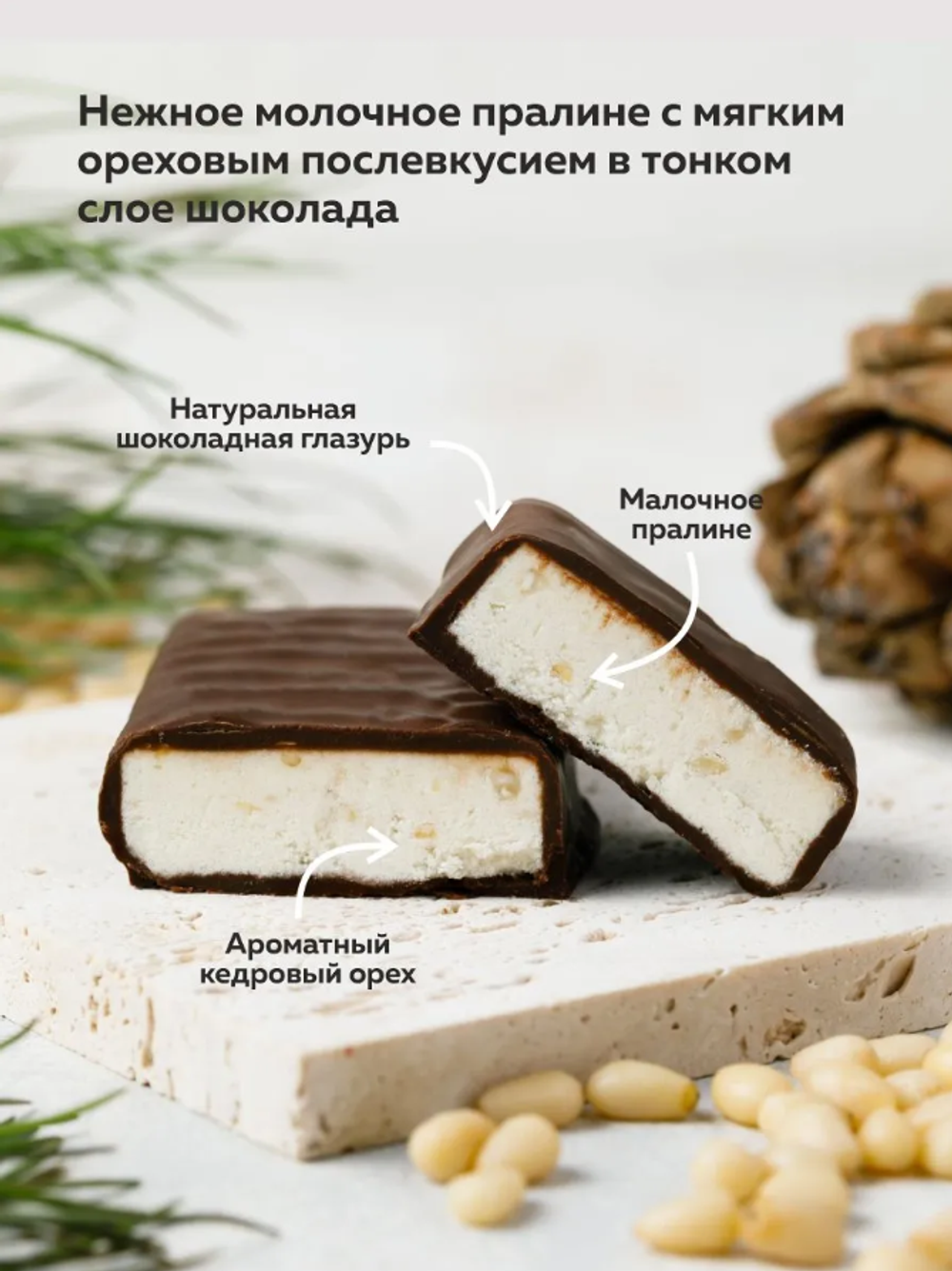 Скриншот 2026-03-05 13-31-46