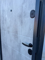 Дверь входная Дели