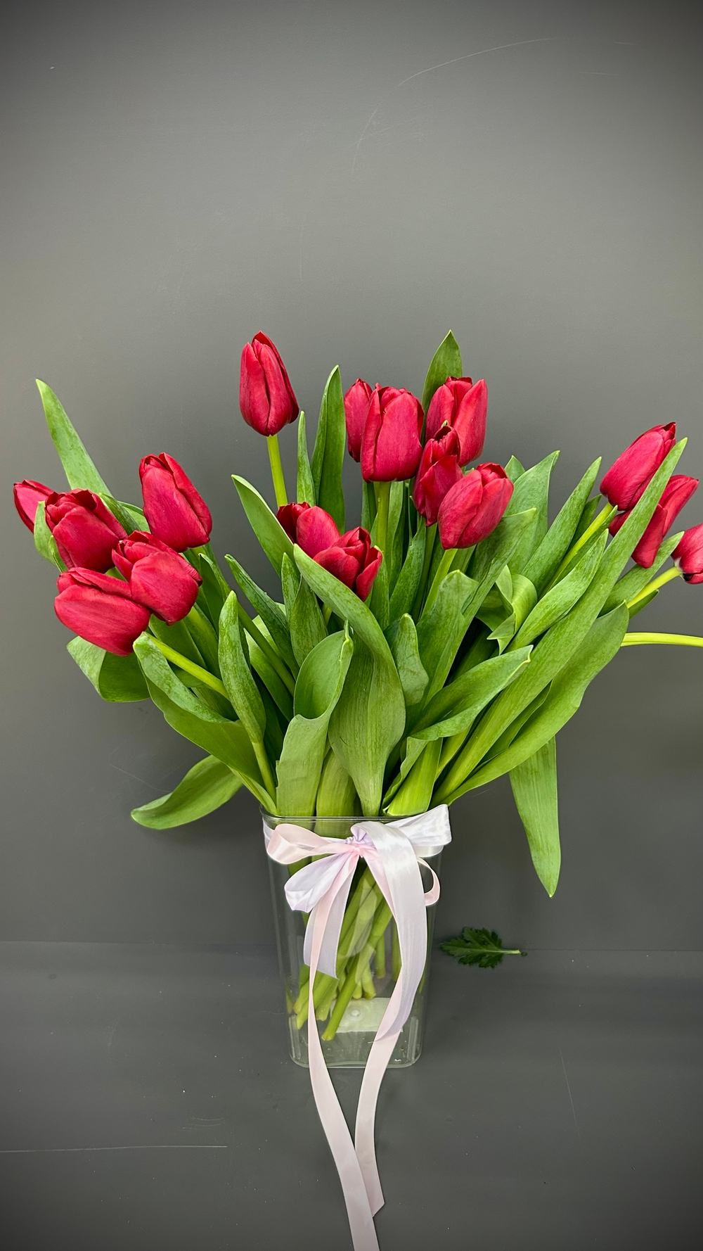 55 тюльпанов