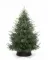 Искусственная елка Заповедная 300 см., 100% литая хвоя, ЕлкиТорг (267300)