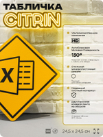Табличка декоративная "Exel, Эксель" на дверь и стену, для офиса, информационная, декоративный знак, 24,5х24,5 см, пластиковая, Айдентика Технолоджи
