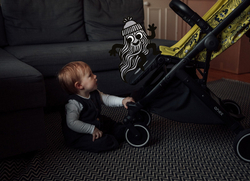 Детская прогулочная коляска Anex AIR-X Ax-SE-01 se woo