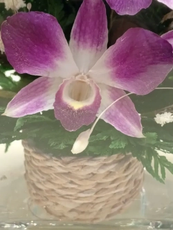 натуральные цветы в стекле, вакуум