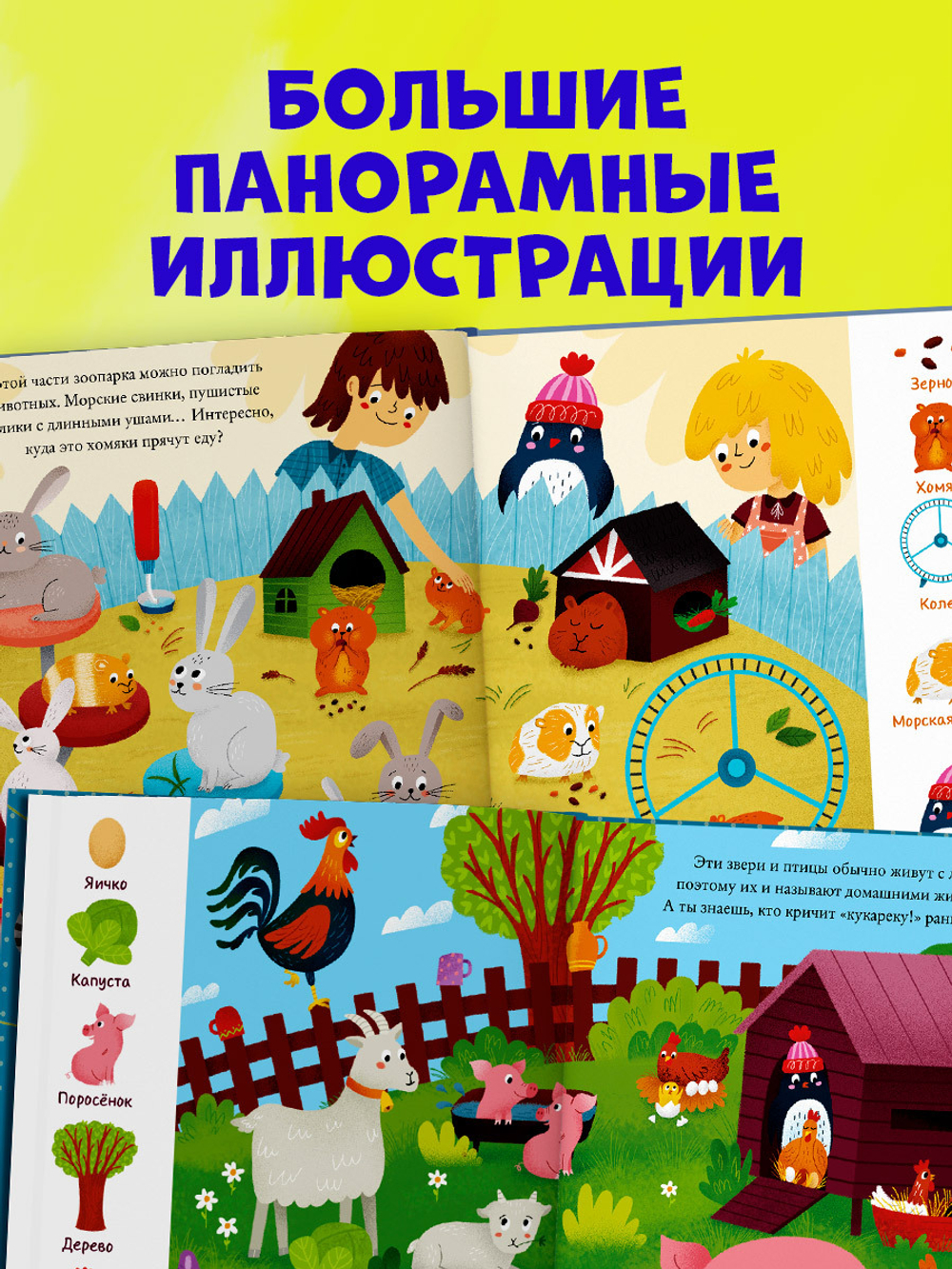 Найди и покажи, малыш. В зоопарке