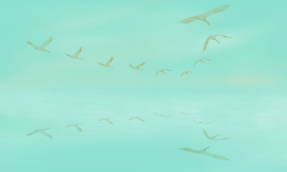 Фреска Applico, коллекция Graphics