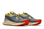 Кроссовки Nike Pegasus Trail 2 Gore-Tex