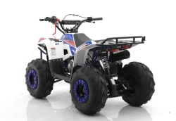 Квадроцикл MOTAX GRIZLIK A110