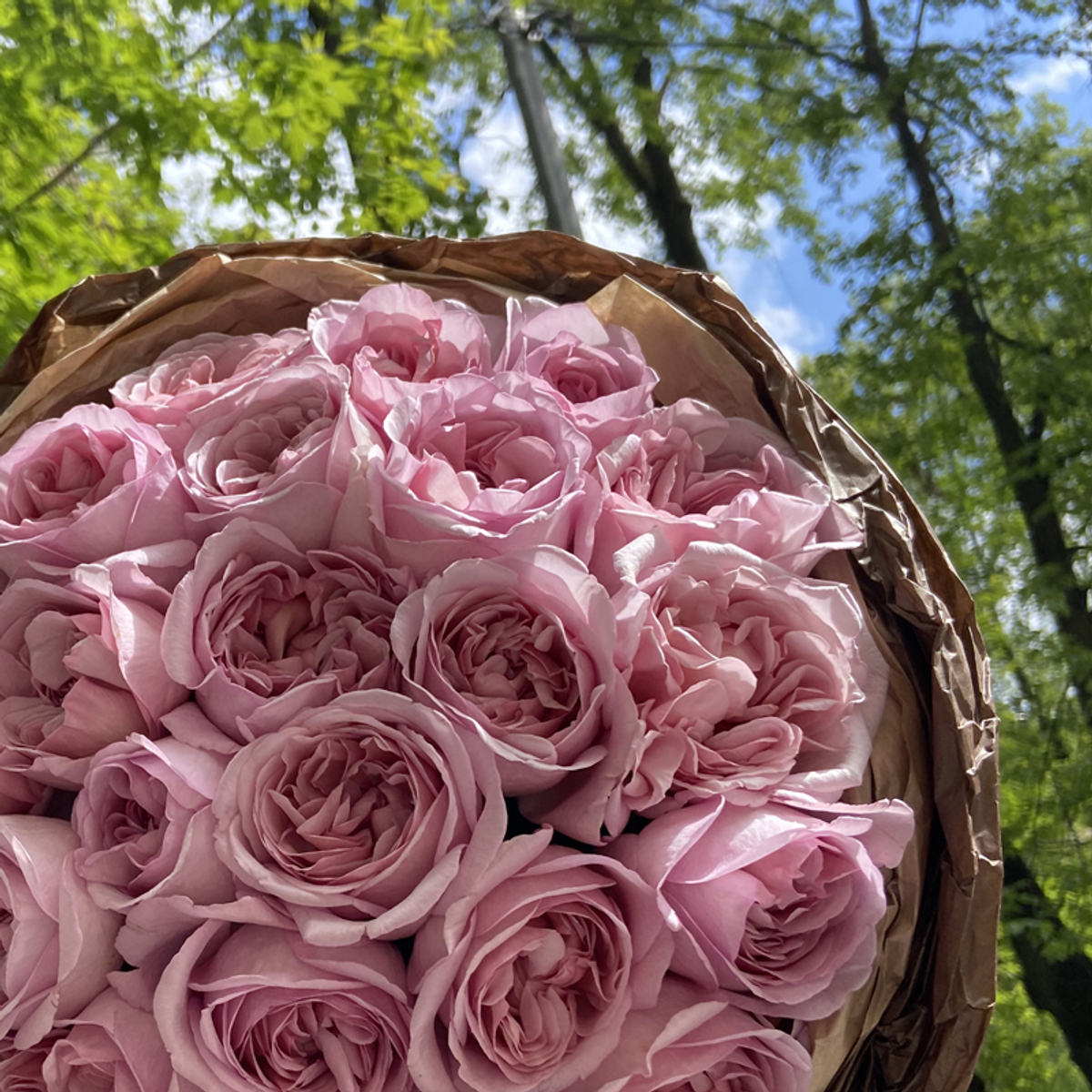 Шоколя Романтика — букет ароматных воланных роз