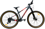 Велосипед 29" TIMETRY TT426  р.16,5"  9ск. серо-красный