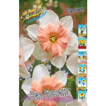 Нарцисс Кул Ивнинг