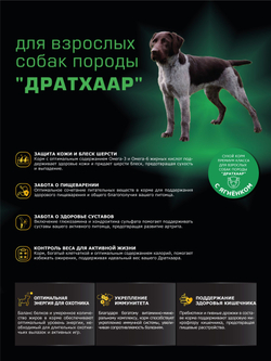 Корм сухой для взрослых собак породы Дратхаар, с ягненком, 12 кг, QUATTRO