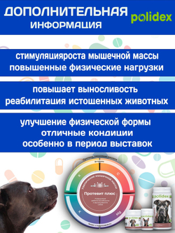 Polidex Protevit Plus для собак, Кормовая добавка для увеличения мышечной массы, Полидек Протевит Плюс, 150 таб