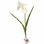 Цветок искусственный «Natur» 60см Ирис белый