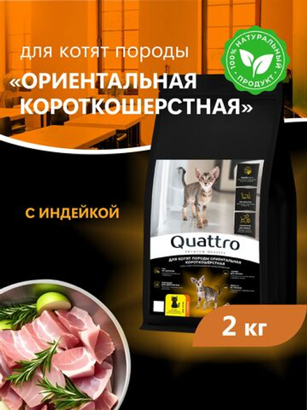 Корм сухой для котят породы Ориентальная короткошёрстная, с индейкой, 2 кг, QUATTRO