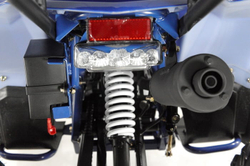 Квадроцикл WELS Thunder EVO