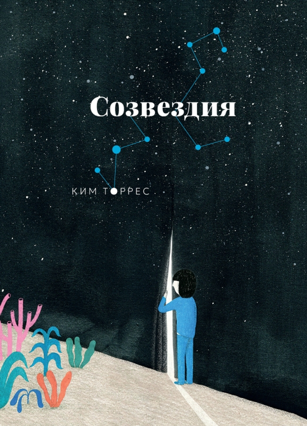 Созвездия