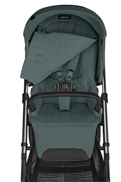 Прогулочная коляска Inglesina Aptica 2025 Emerald Green