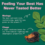 Kuli Kuli, Super Gummies, моринга и адаптогенная чага, ягодное ассорти, 60 жевательных мармеладок