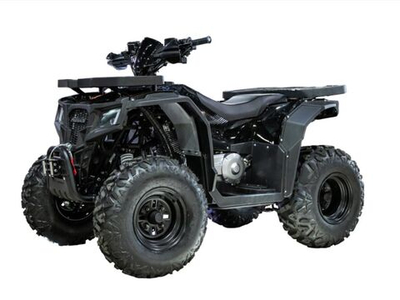 Квадроцикл ПРОГАСИ Race Jumper 200 Max Power