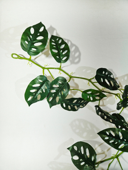 Лиана искусственная для декора Монстера 170см