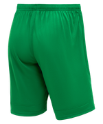 Шорты игровые DIVISION PerFormDRY Union Shorts, зеленый