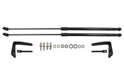 Упоры капота для TOYOTA RAV4 XA40, 2015-2019, к-т 2 шт ARBORI.HD.043103