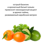 Лайм, Базилик, Мандарин, кубики восковые для ароматизации, 10 штук