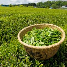 Чай черный Ahmad tea Ceylon tea OP 500 г
