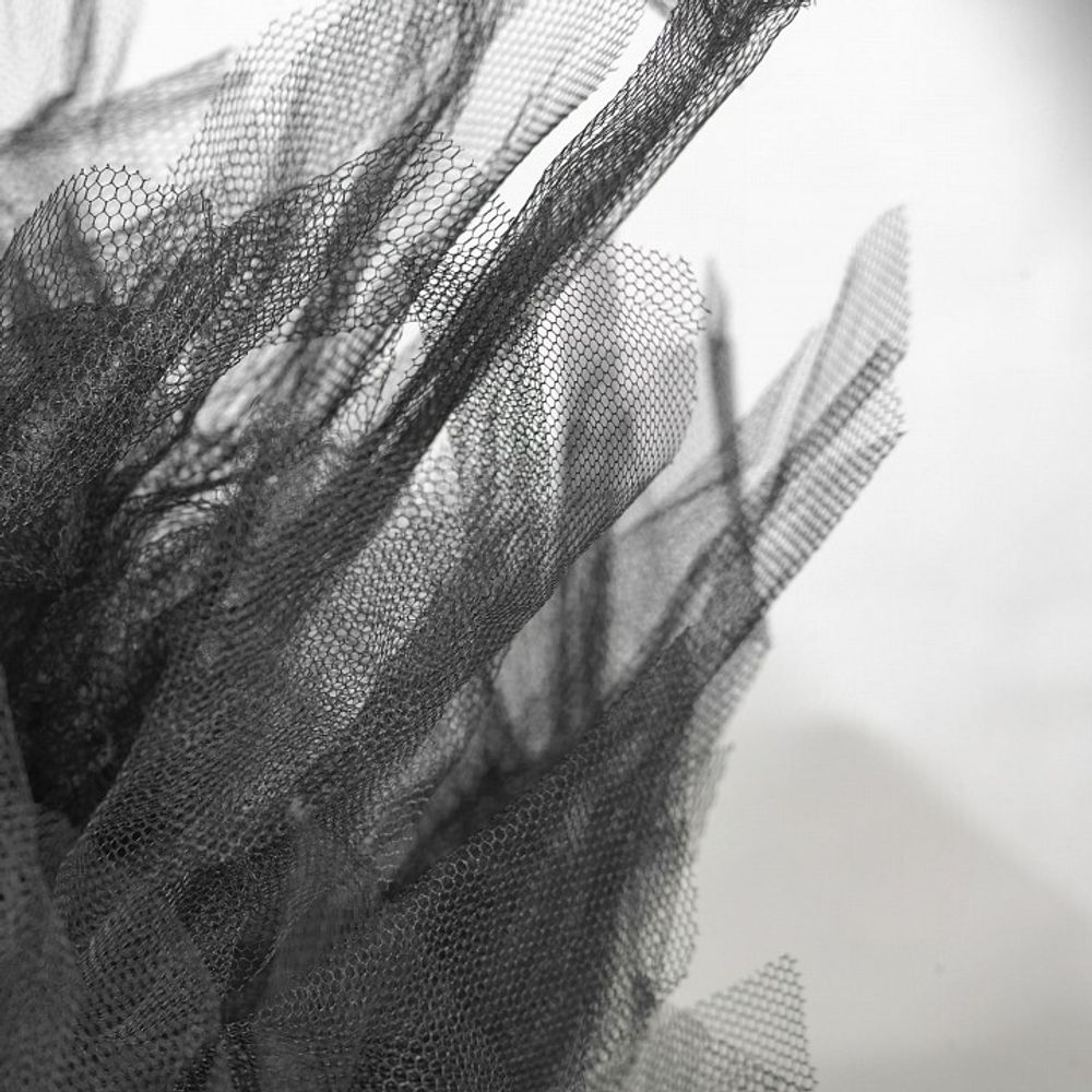 Накладной светильник Lussole Clarksville GRLSP-8727