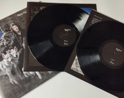 Винтажная виниловая пластинка LP Steve Hackett Wolflight (EU 2015)