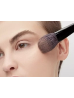 Пудровый хайлайтер the highlighter3INA  512