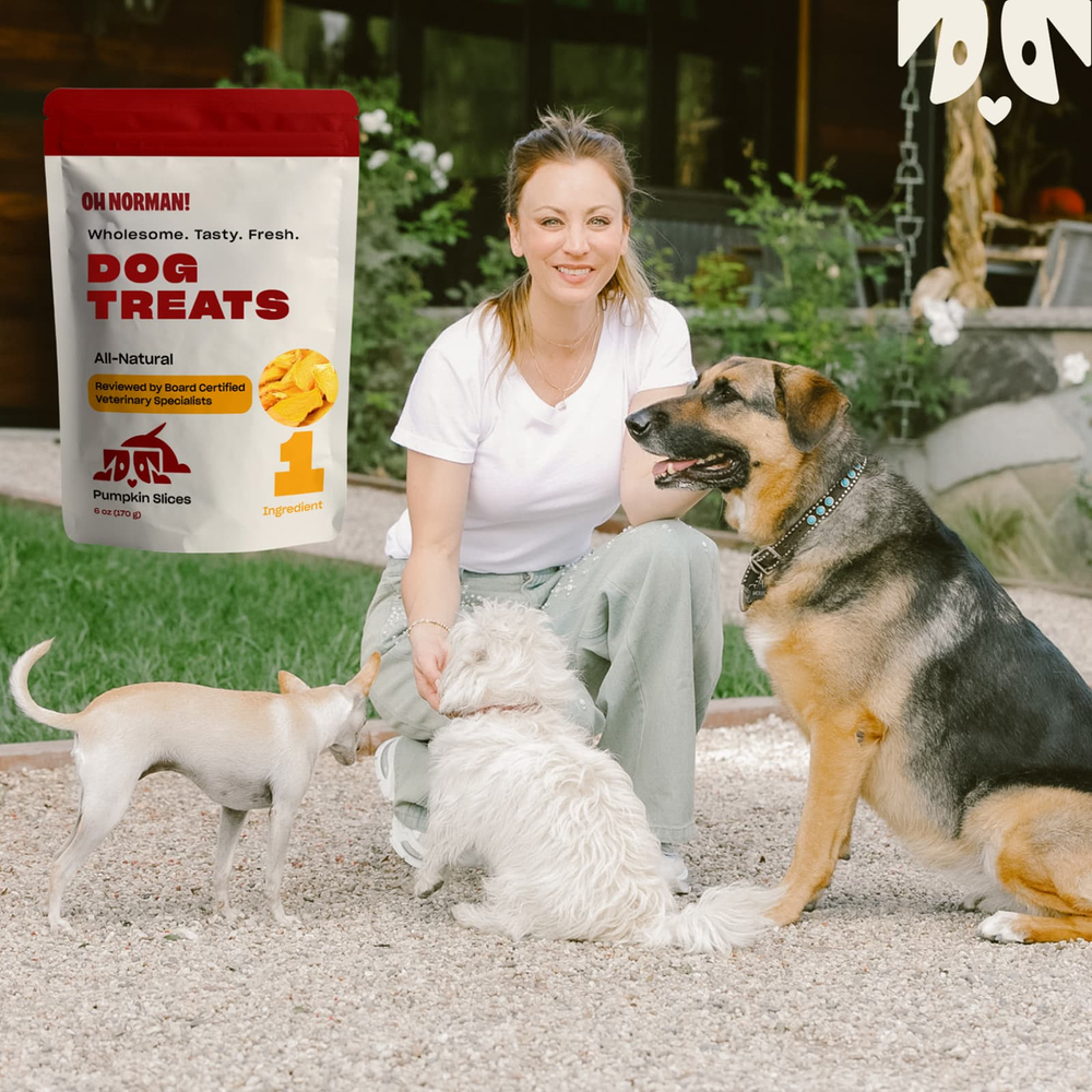 Oh Norman, лакомство для собак, с кусочками тыквы, 170 г (6 унций)