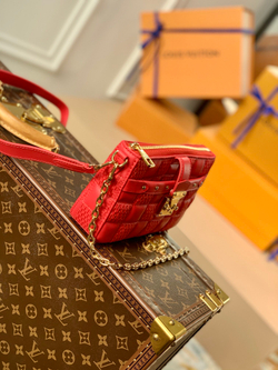 Louis Vuitton Pochette Troca