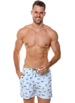 Мужские пляжные шорты с принтом в виде самолетов (Размер: XXL) (Цвет: голубой)