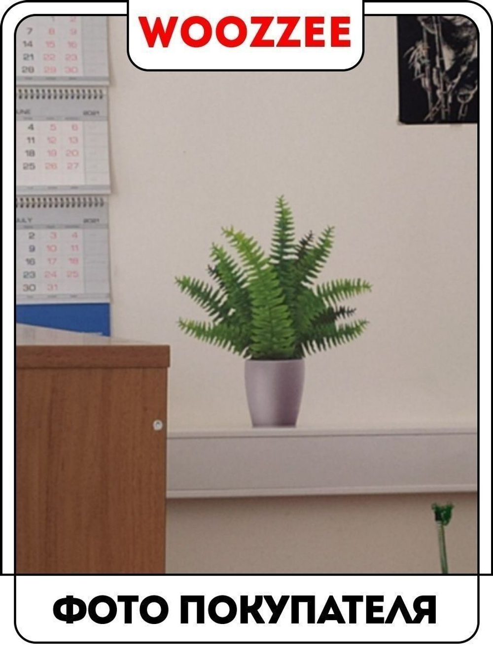 Наклейка декоративная А3 "Папоротник"