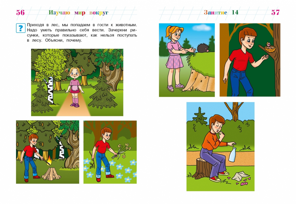Изучаю мир вокруг: для детей 5-6 лет (новое оформление)