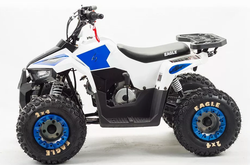 Квадроцикл MOTOLAND (МОТОЛЕНД) 110 EAGLE