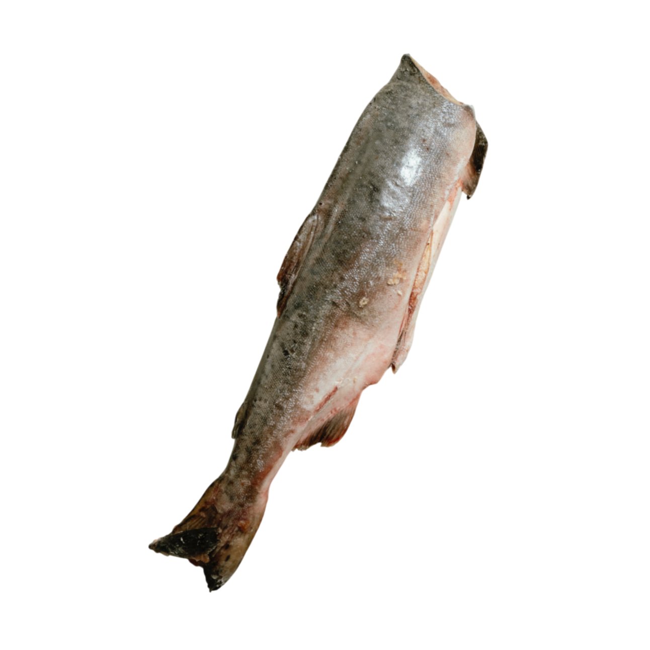 Нерка, б/г с/м