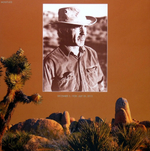 J.J. Cale / Collected (Coloured Vinyl) (3LP)