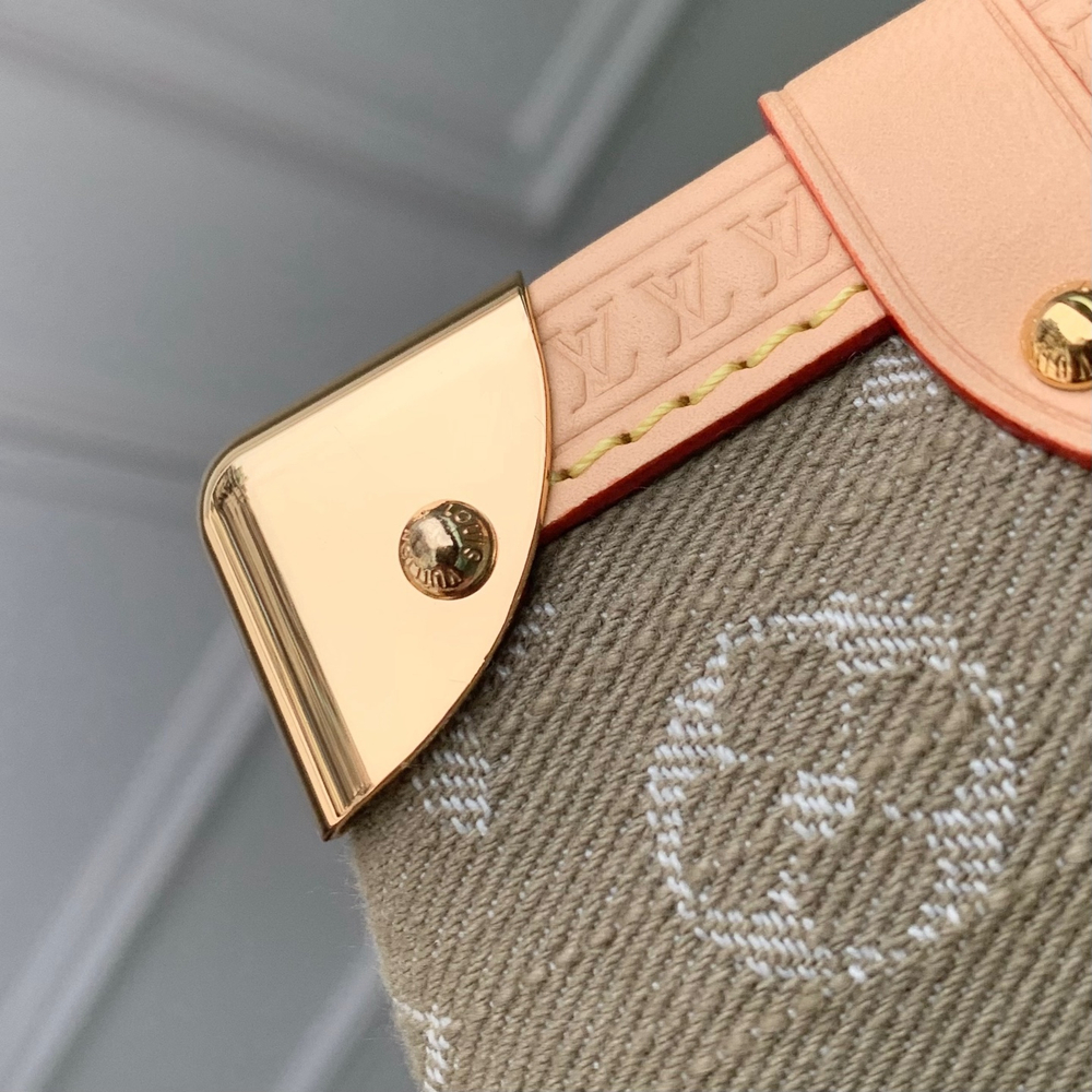 Louis Vuitton Side Trunk MM East West