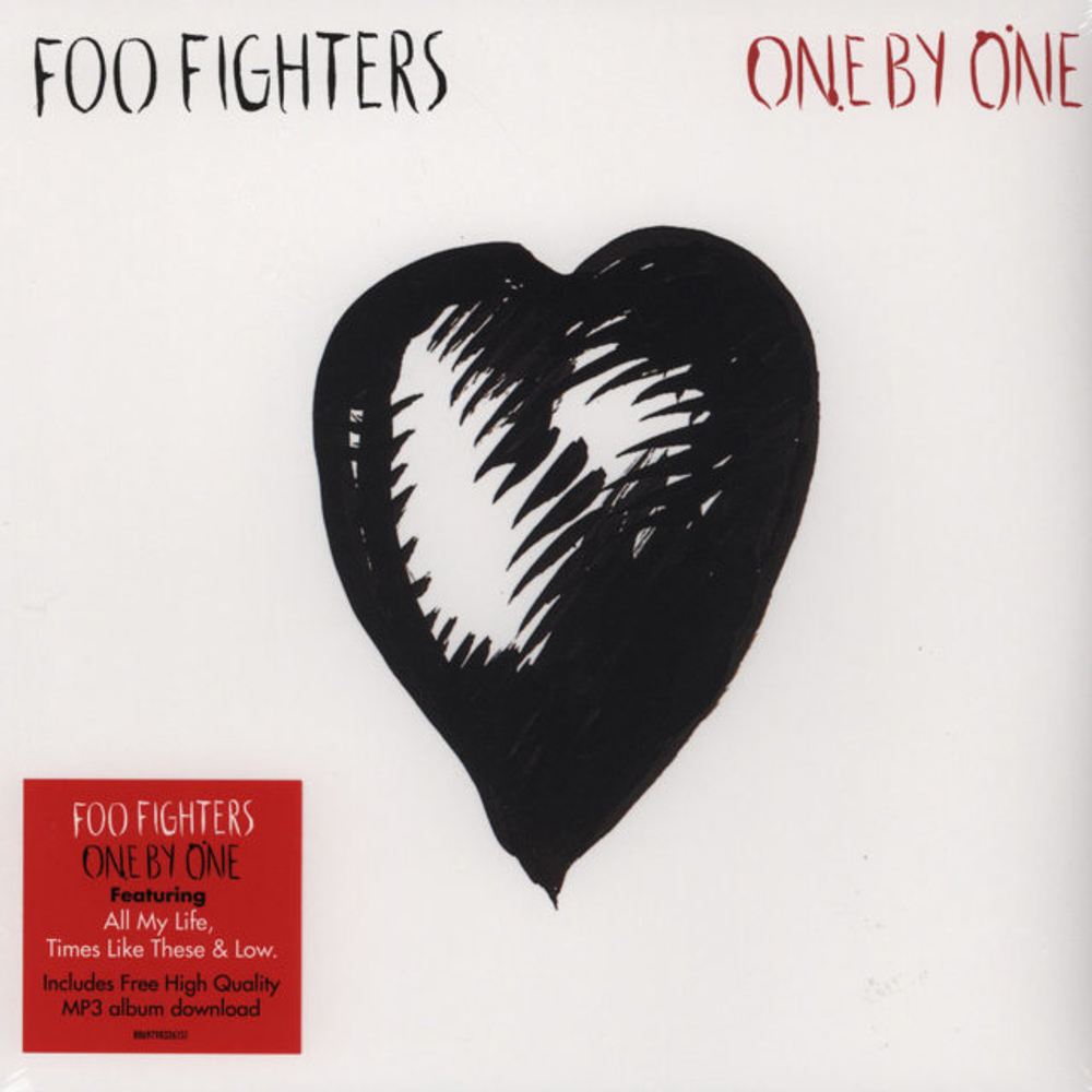 Foo Fighters / One By One (2LP)