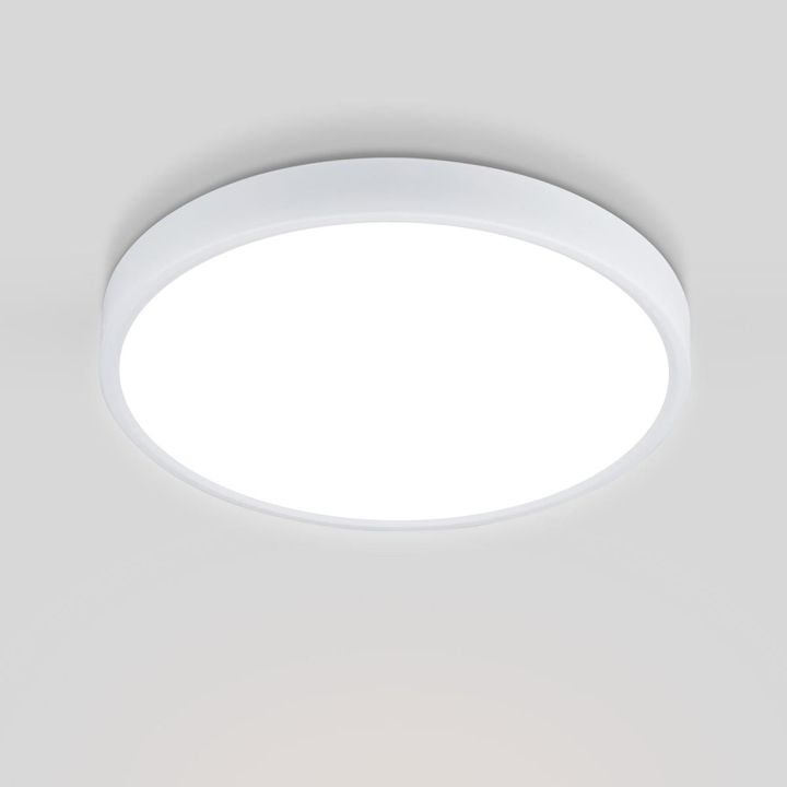 Потолочный светодиодный светильник Elektrostandard DLR034 24W 4200K a043016